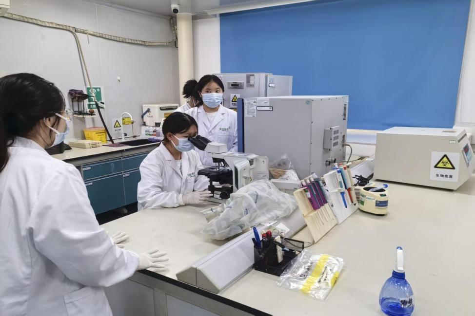 襄阳职业技术大学医学检验专业暑期研学活动圆满结束